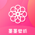 谷歌专用上网工具下载