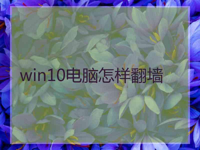 win10电脑怎样翻墙