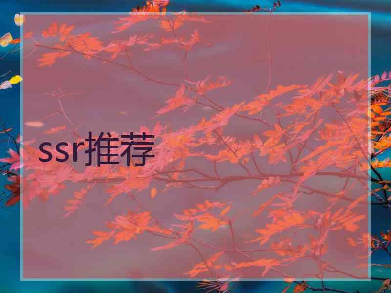 ssr推荐