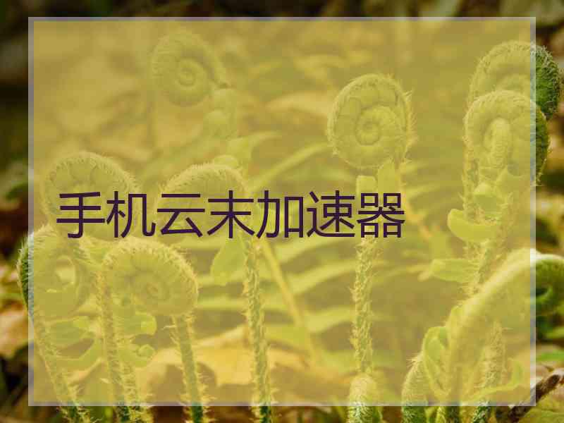手机云末加速器