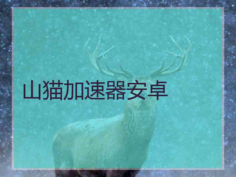 山猫加速器安卓