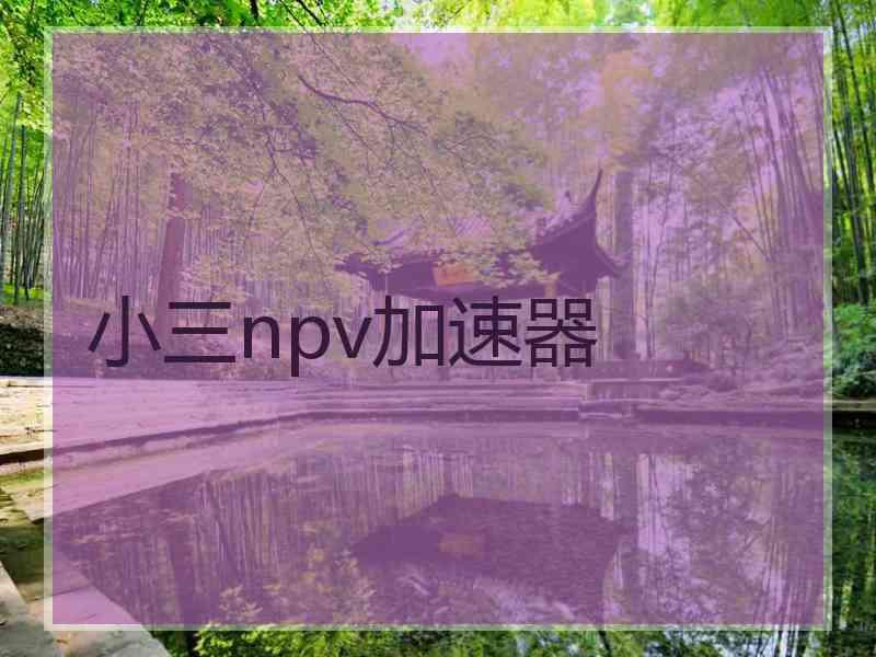 小三npv加速器