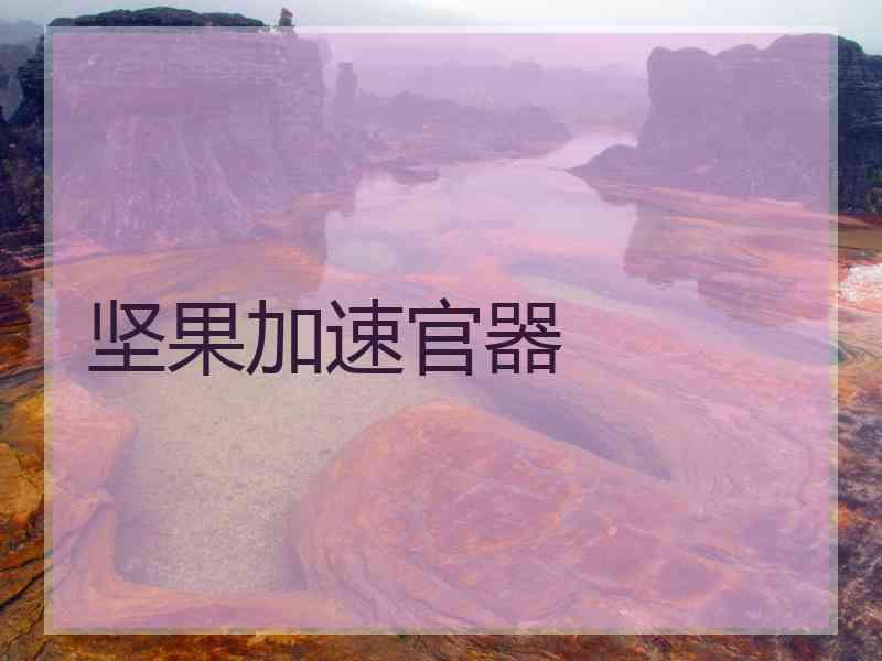 坚果加速官器