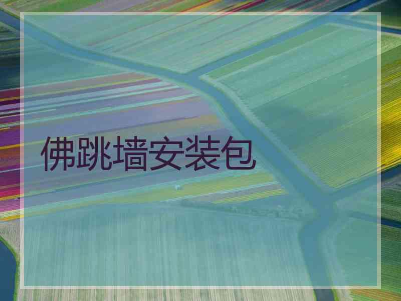 佛跳墙安装包