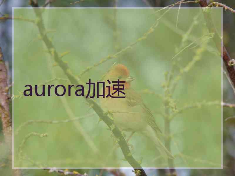 aurora加速