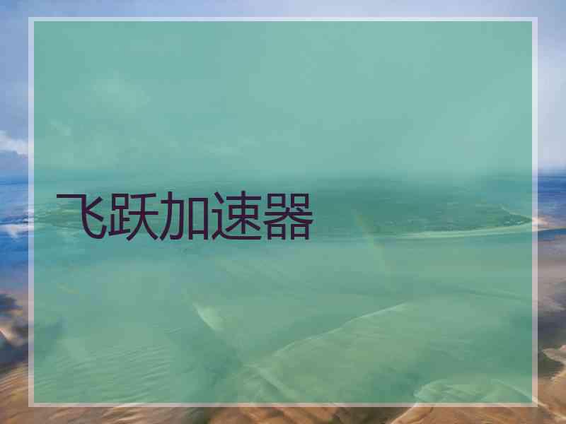 飞跃加速器