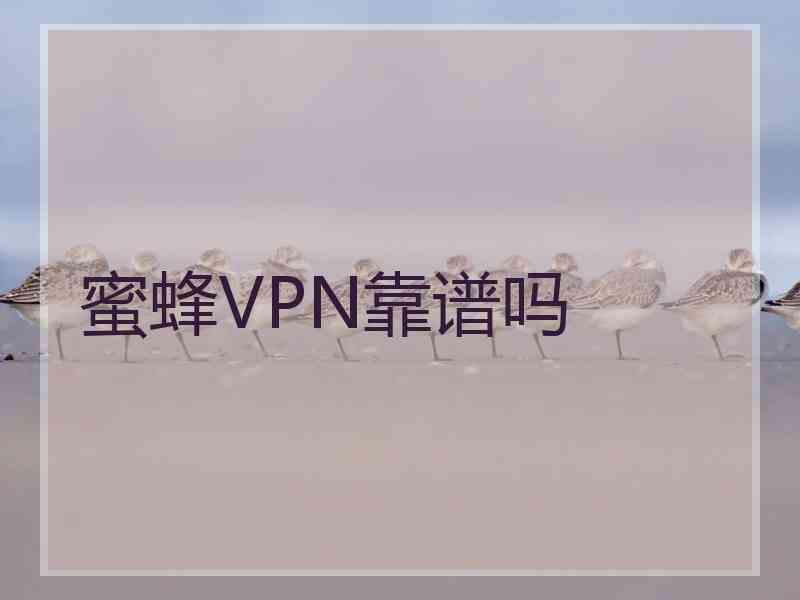 蜜蜂VPN靠谱吗