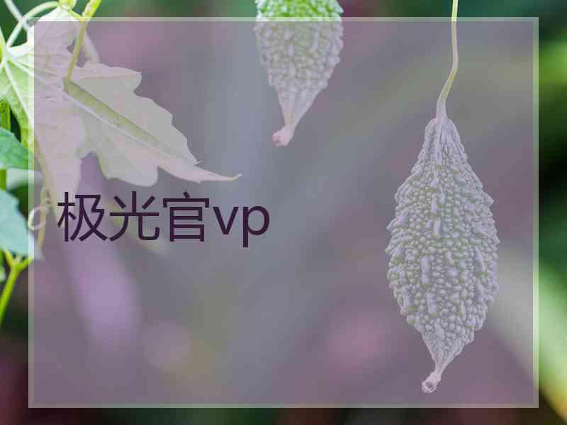 极光官vp