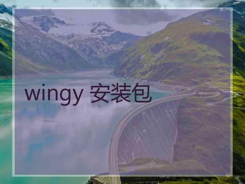 wingy 安装包