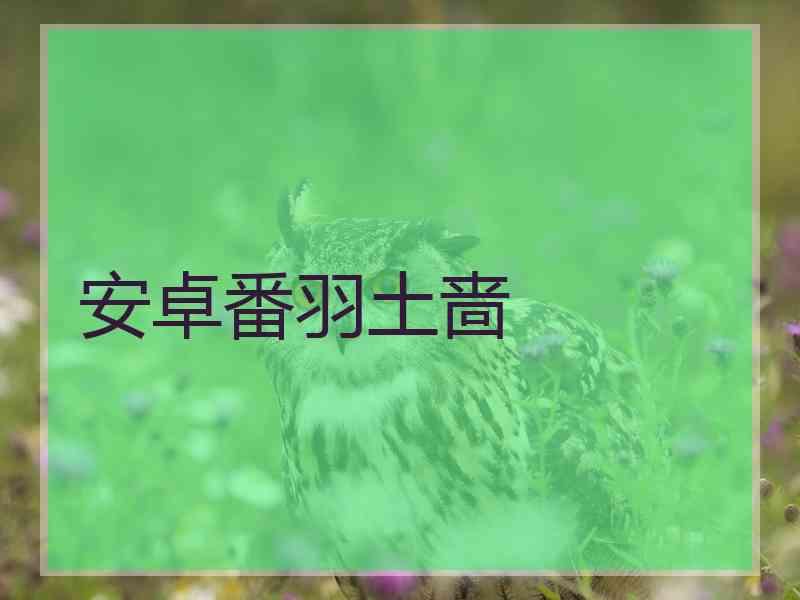安卓番羽土啬