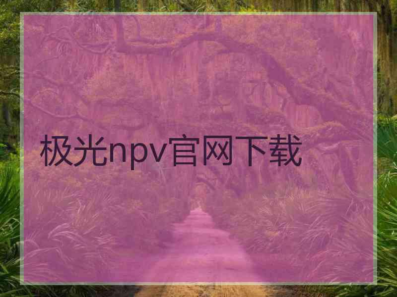极光npv官网下载
