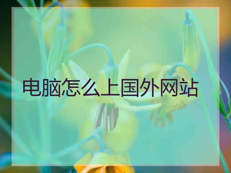 电脑怎么上国外网站