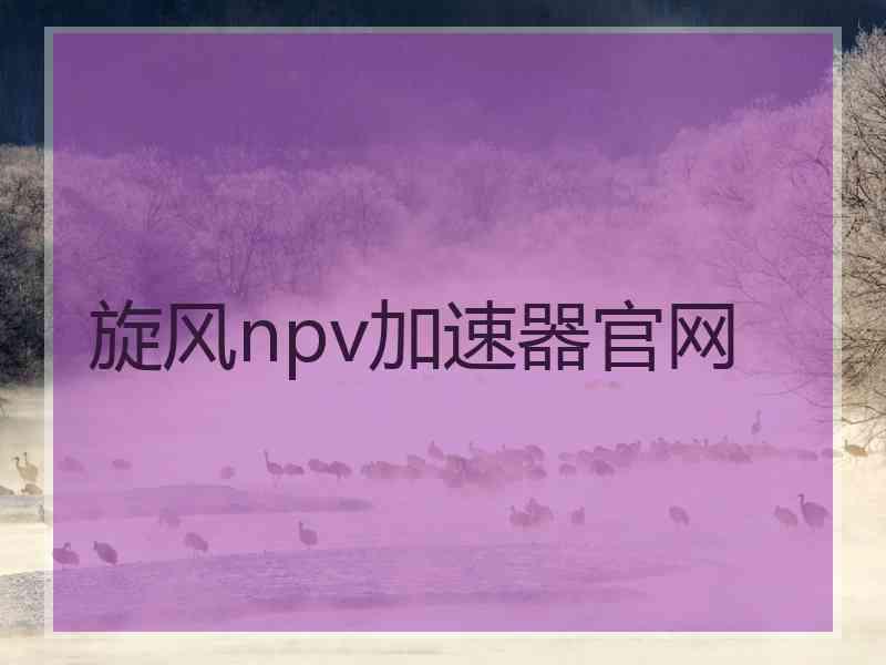 旋风npv加速器官网