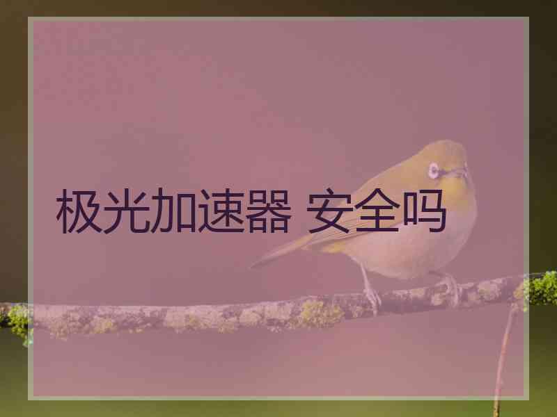 极光加速器 安全吗