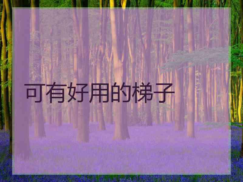 可有好用的梯子