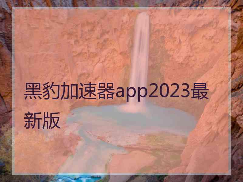 黑豹加速器app2023最新版