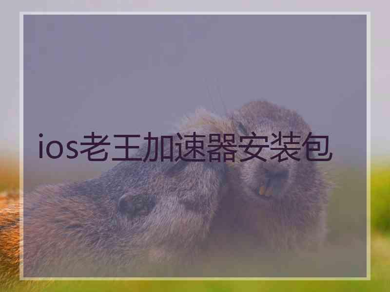ios老王加速器安装包