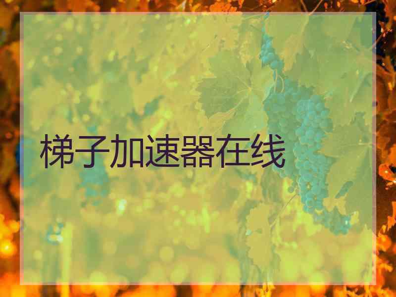 梯子加速器在线