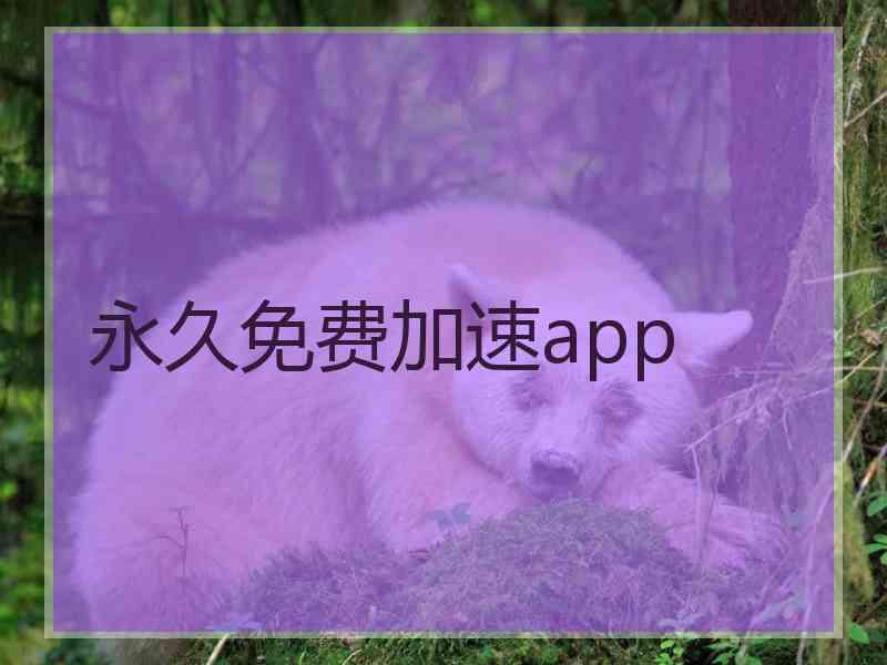 永久免费加速app