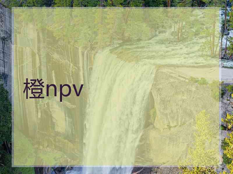 橙npv