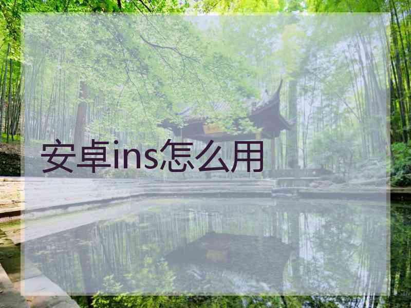 安卓ins怎么用