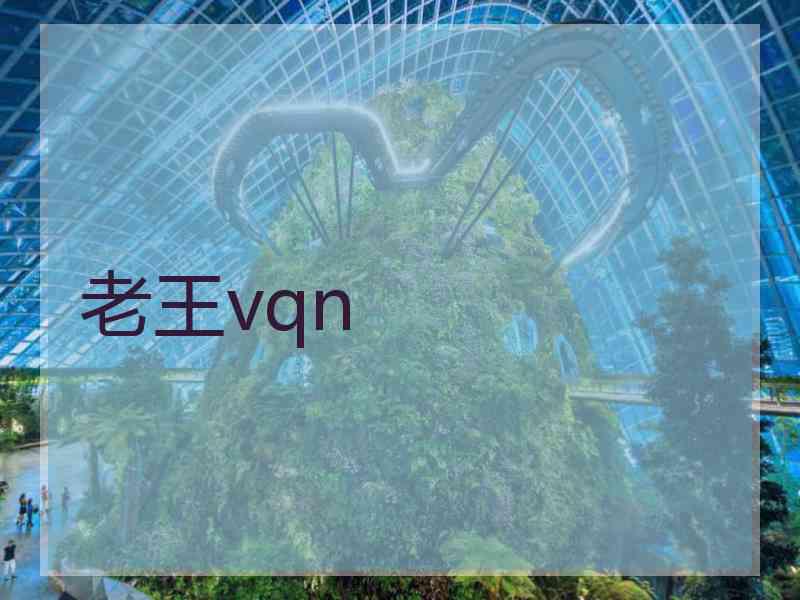 老王vqn