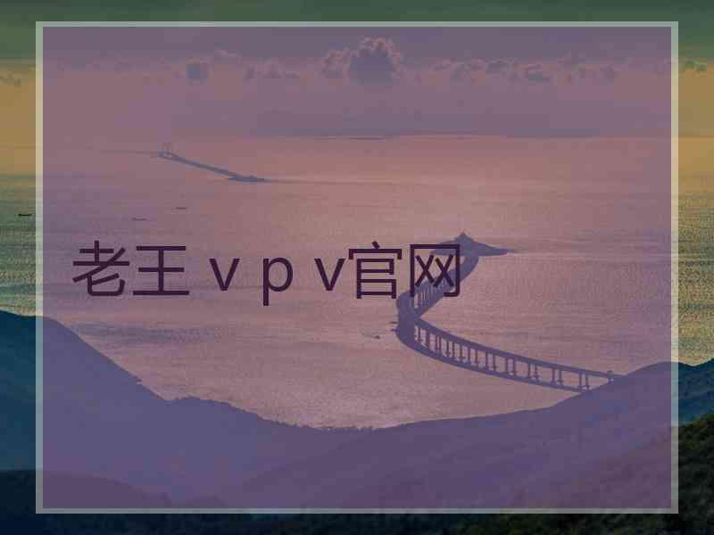 老王 v p v官网