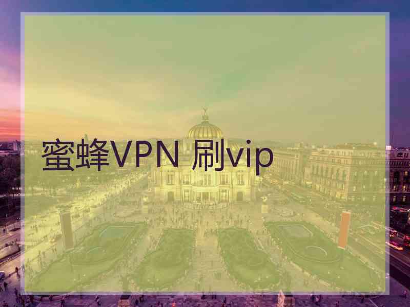 蜜蜂VPN 刷vip