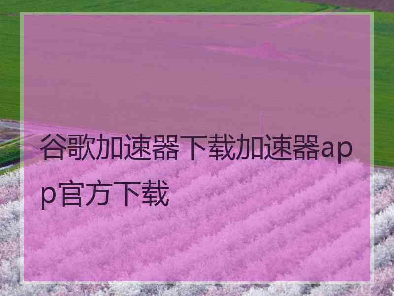 谷歌加速器下载加速器app官方下载