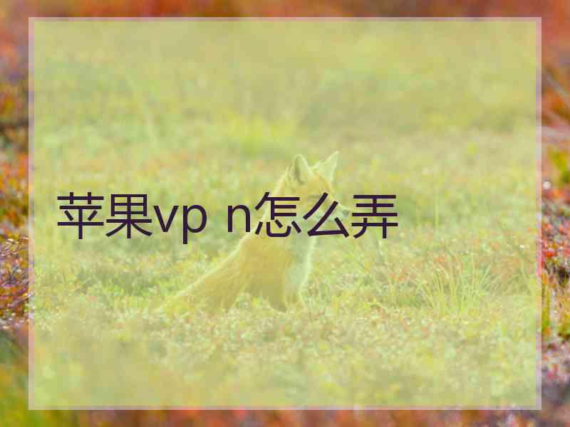 苹果vp n怎么弄