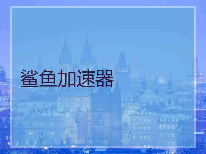 鲨鱼加速器