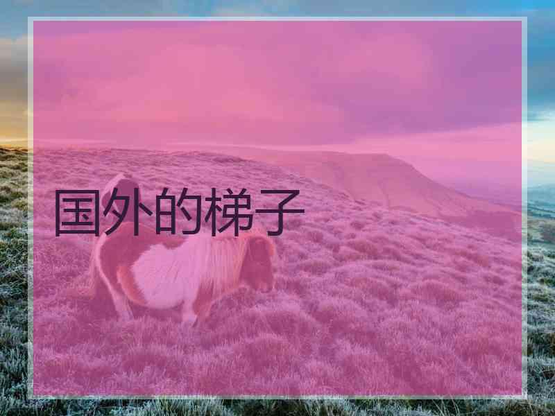 国外的梯子