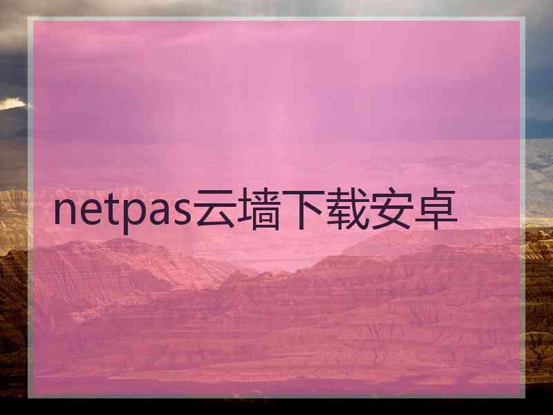 netpas云墙下载安卓