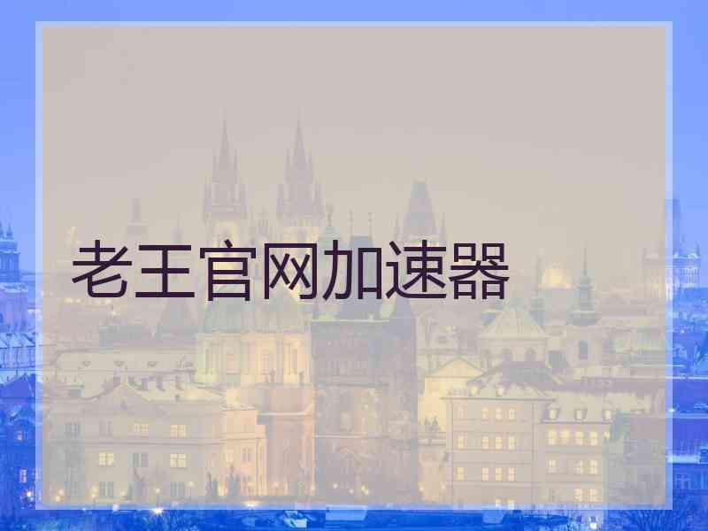老王官网加速器