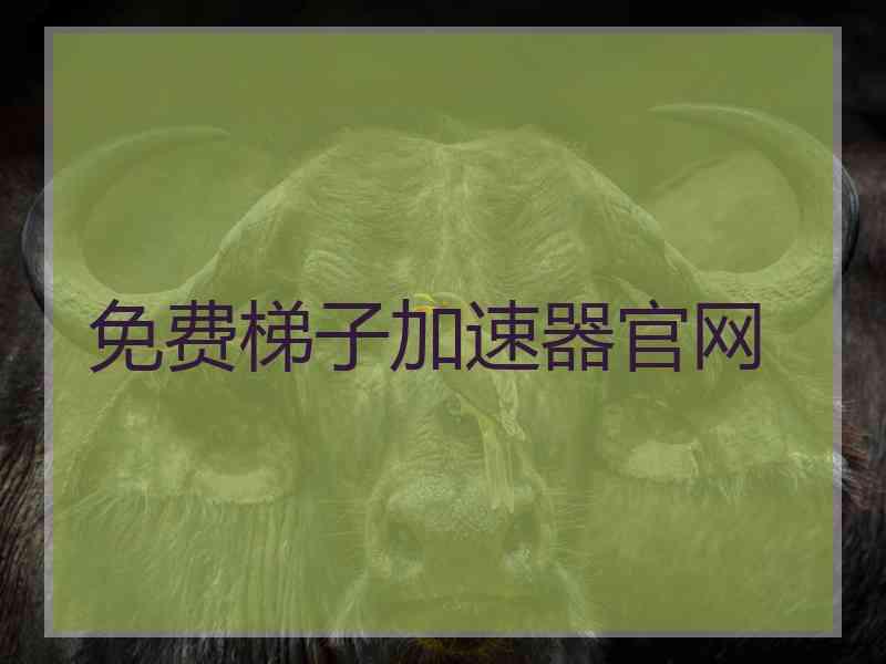 免费梯子加速器官网
