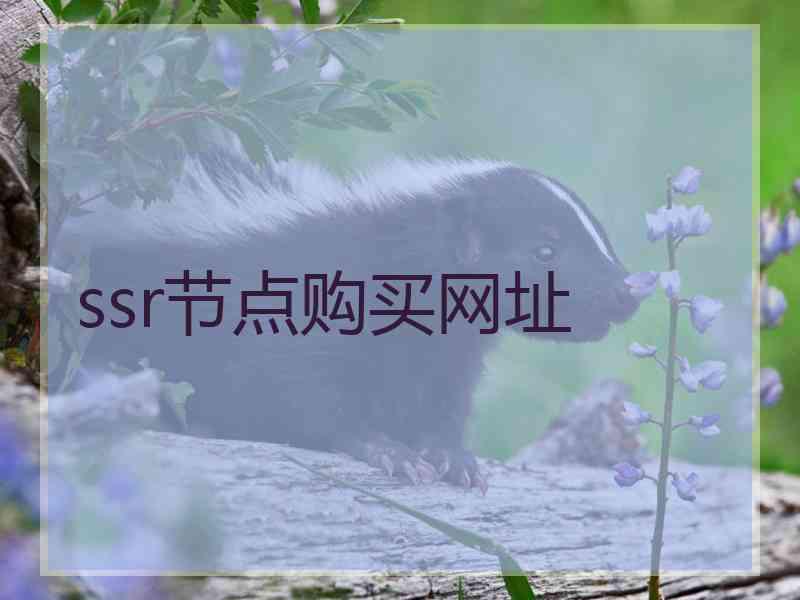 ssr节点购买网址