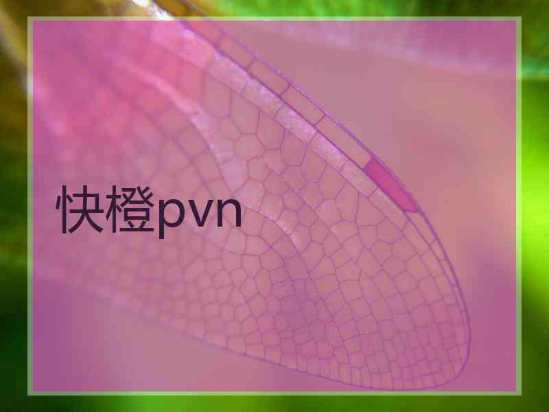 快橙pvn