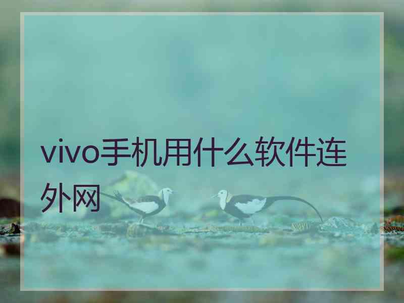 vivo手机用什么软件连外网