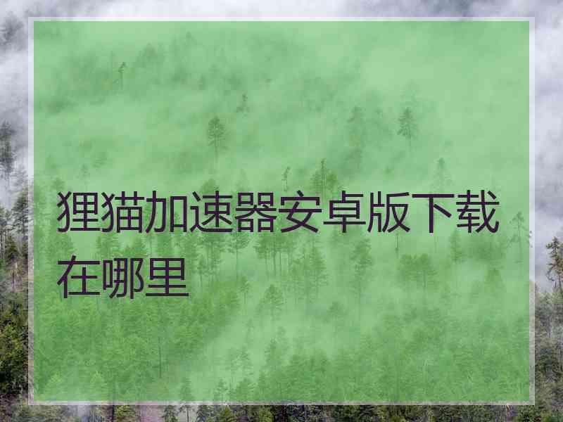 狸猫加速器安卓版下载在哪里
