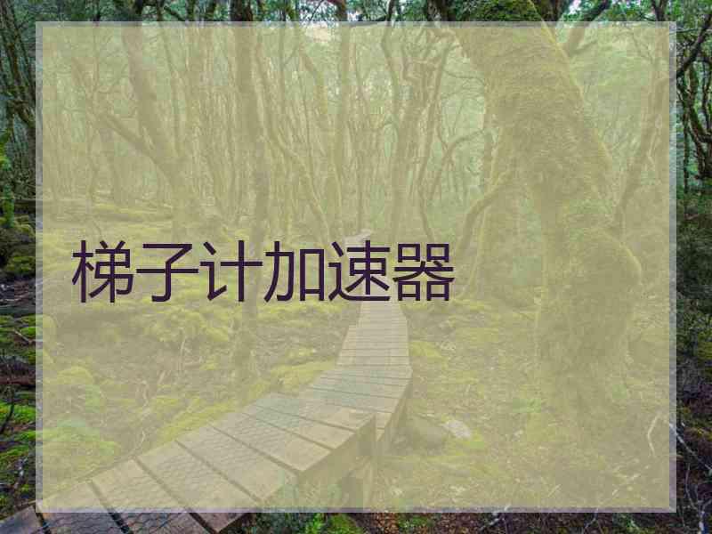 梯子计加速器