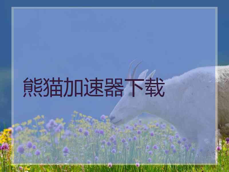 熊猫加速器下载