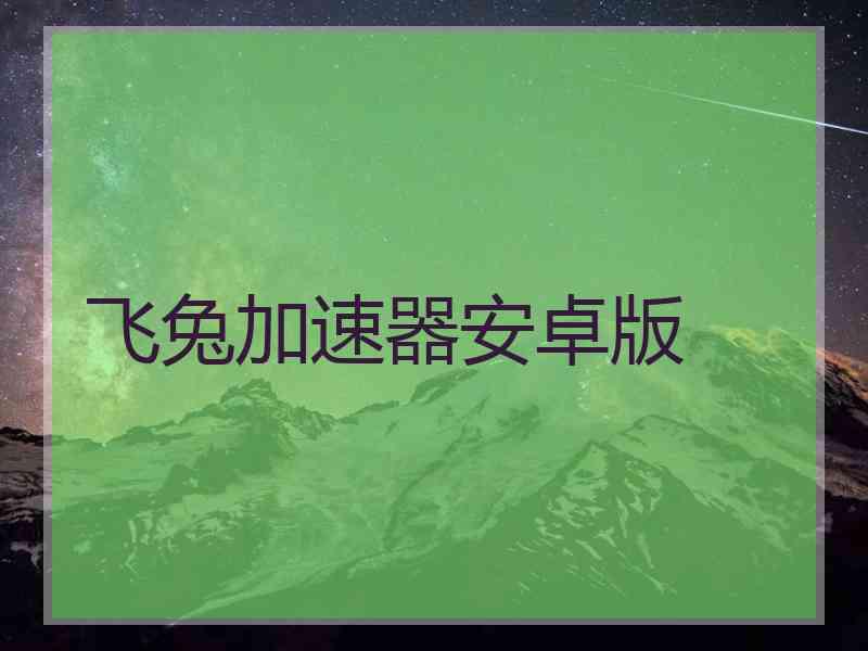 飞兔加速器安卓版