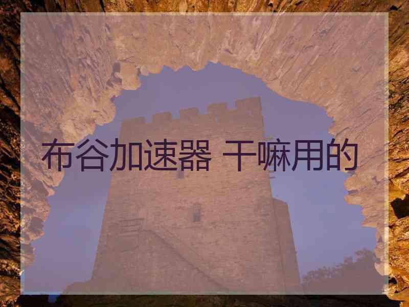 布谷加速器 干嘛用的