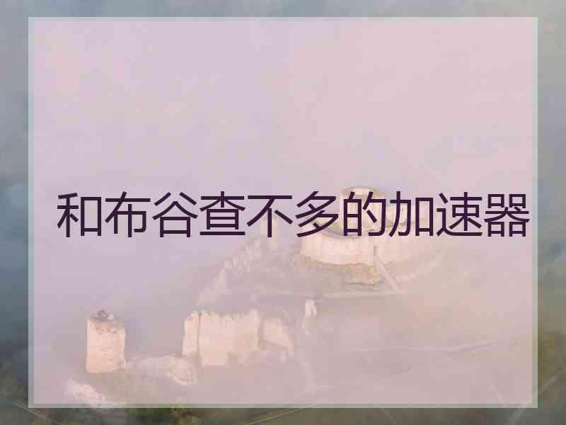 和布谷查不多的加速器