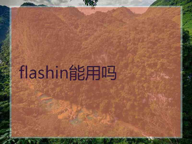 flashin能用吗
