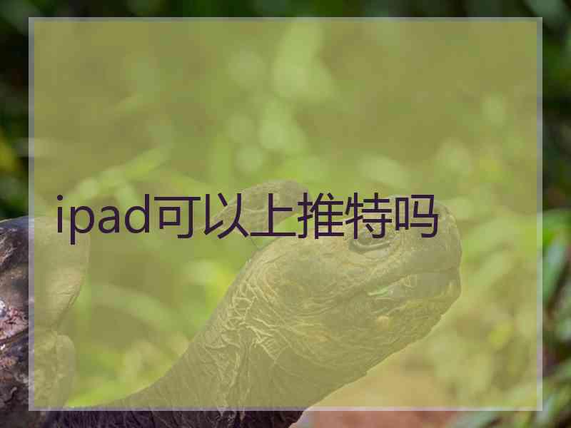 ipad可以上推特吗