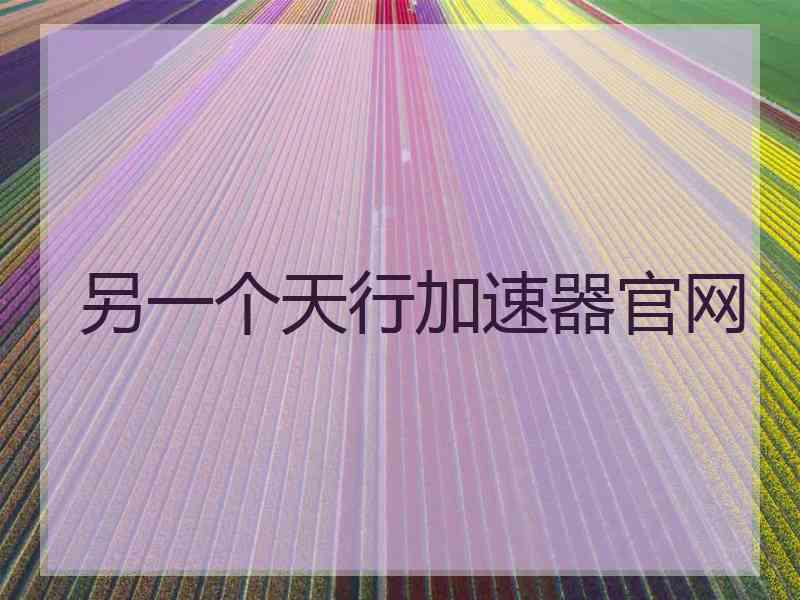 另一个天行加速器官网