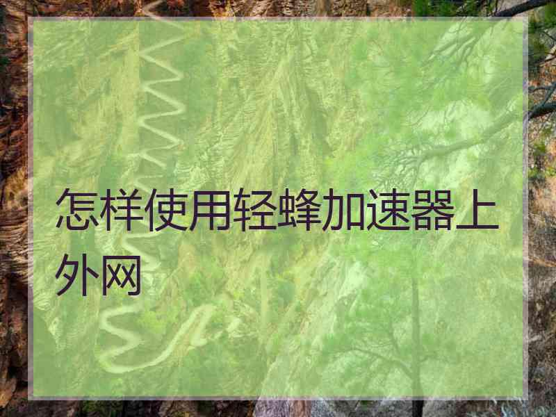 怎样使用轻蜂加速器上外网