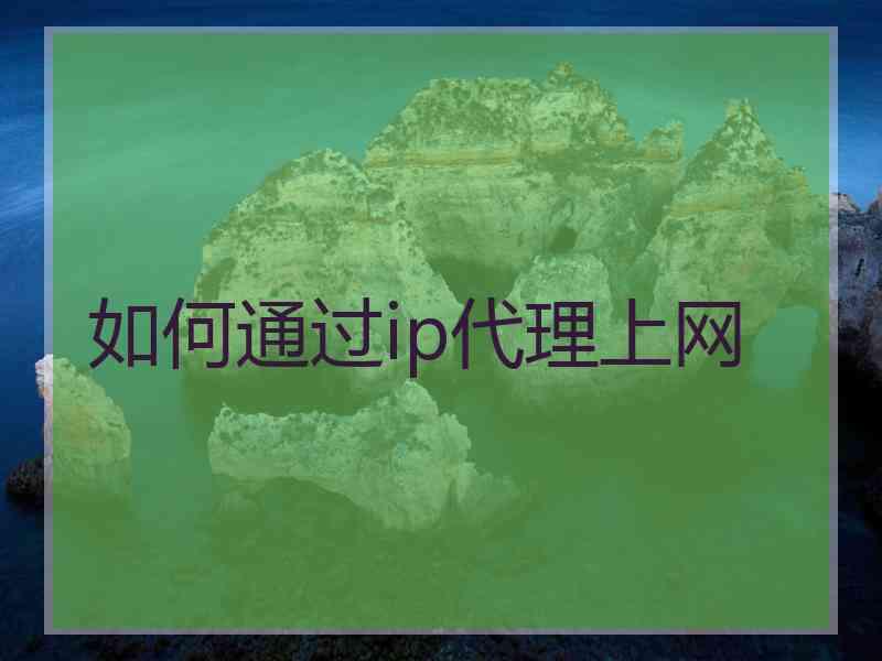 如何通过ip代理上网