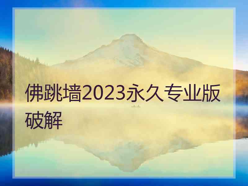 佛跳墙2023永久专业版破解